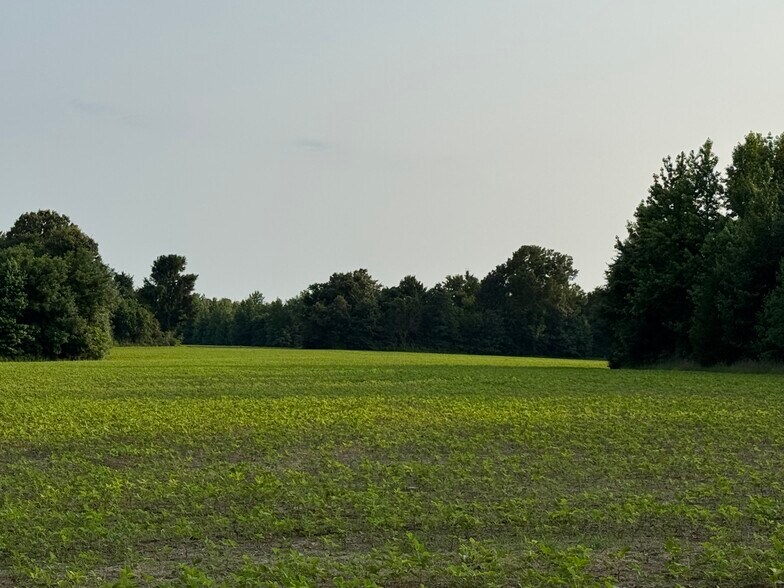 More Photos Of 2174 Frazier Road, Rossville Land For Sale