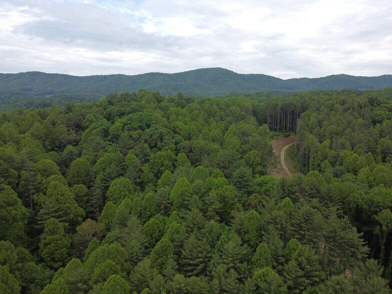 More Photos Of 6421 Highway 91 N, Laurel Bloomery Warehouse For Sale