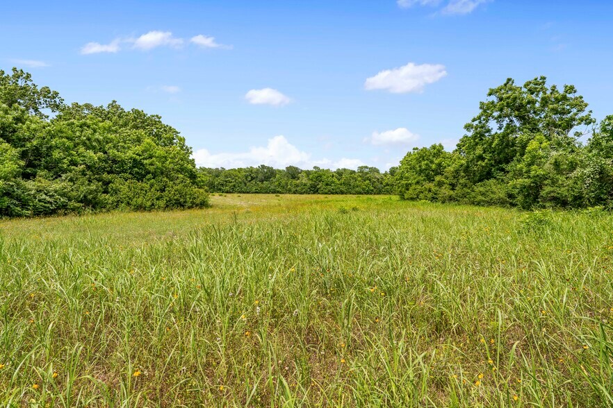 More Photos Of 10840 FM 442, Boling Land For Sale