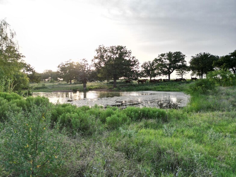 More Photos Of 951 FM 1476, Dublin Land For Sale