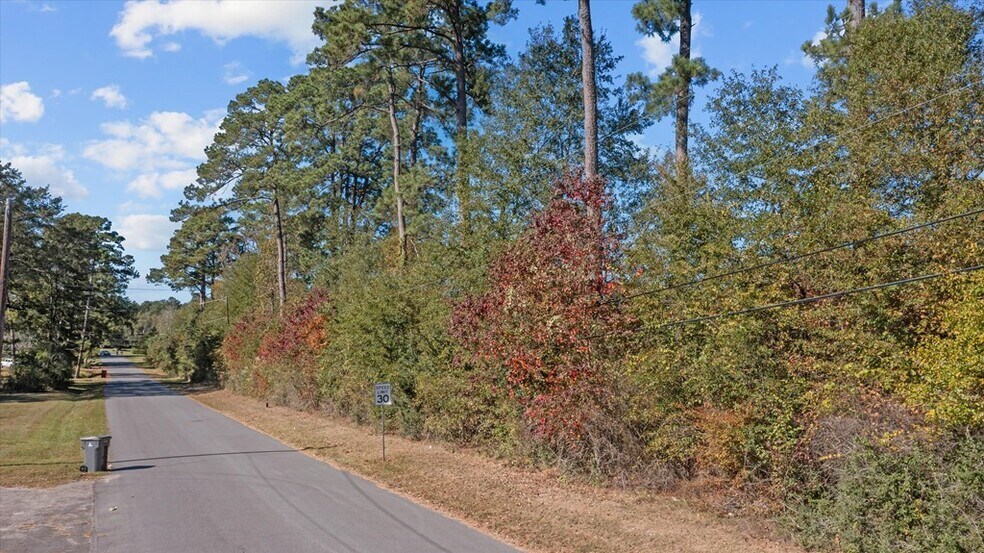 More Photos Of 1510 S Chestnut St, Lufkin Land For Sale