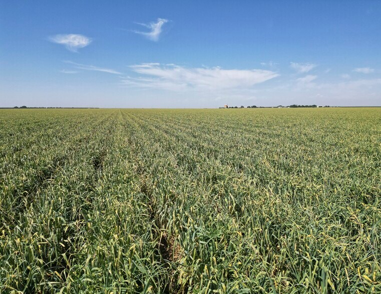 More Photos Of Oakland @ Lassen Avenue, Five Points Land For Sale