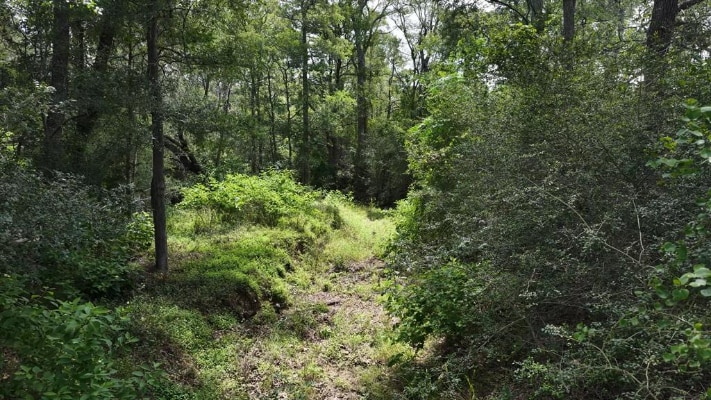 More Photos Of TBD FM 535, Red Rock Land For Sale