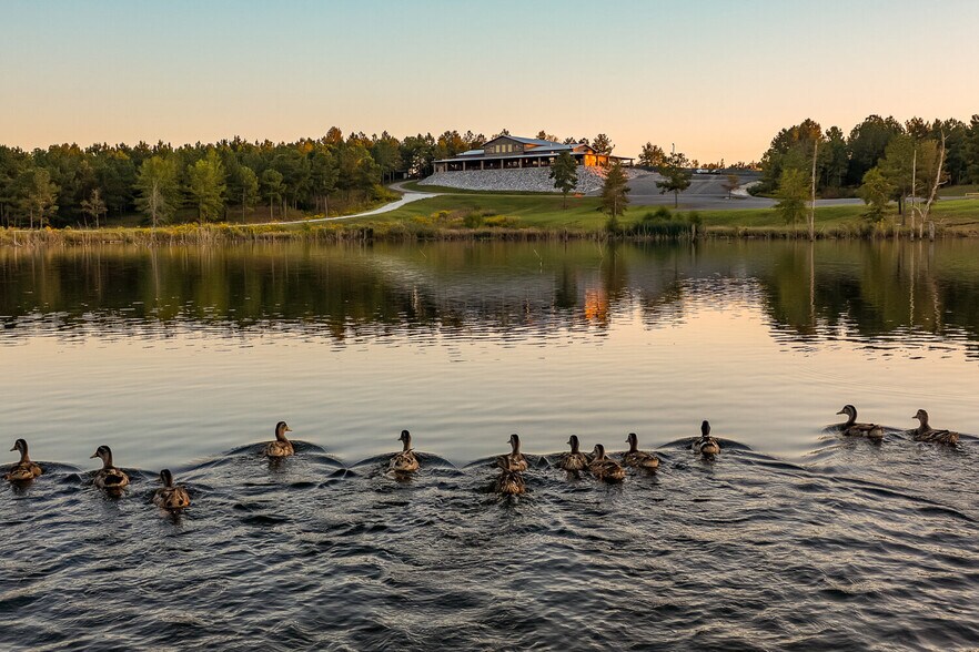 More Photos Of 18618 Hwy 43, Linden Land For Sale