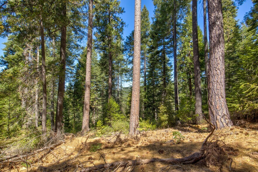 More Photos Of Texas Hill Rd, Emigrant Gap Land For Sale