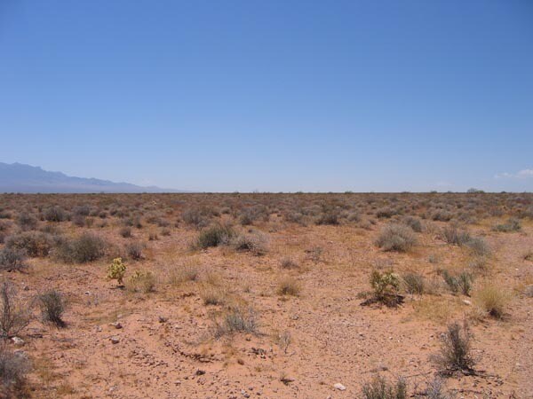 More Photos Of 590 N Virgin Acres Blvd, Littlefield Land For Sale