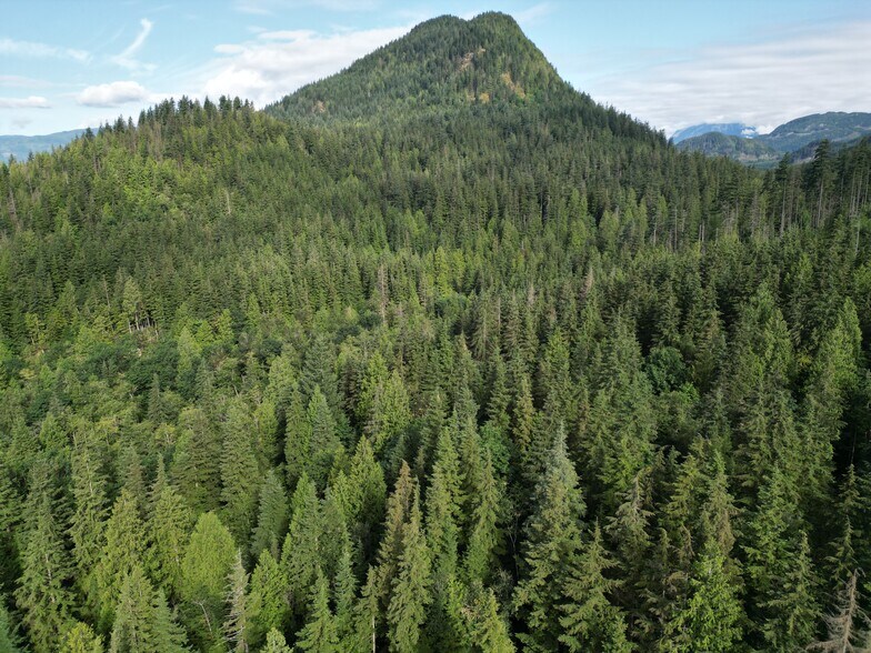 More Photos Of 241 Sylvester Rd, Mission Land For Sale