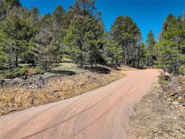 More Photos Of 12350 Powhatan Tr, Conifer Land For Sale