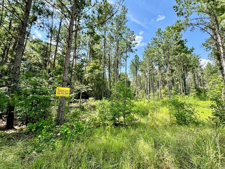 More Photos Of 0 Slim Palmer Road, Zavalla Land For Sale
