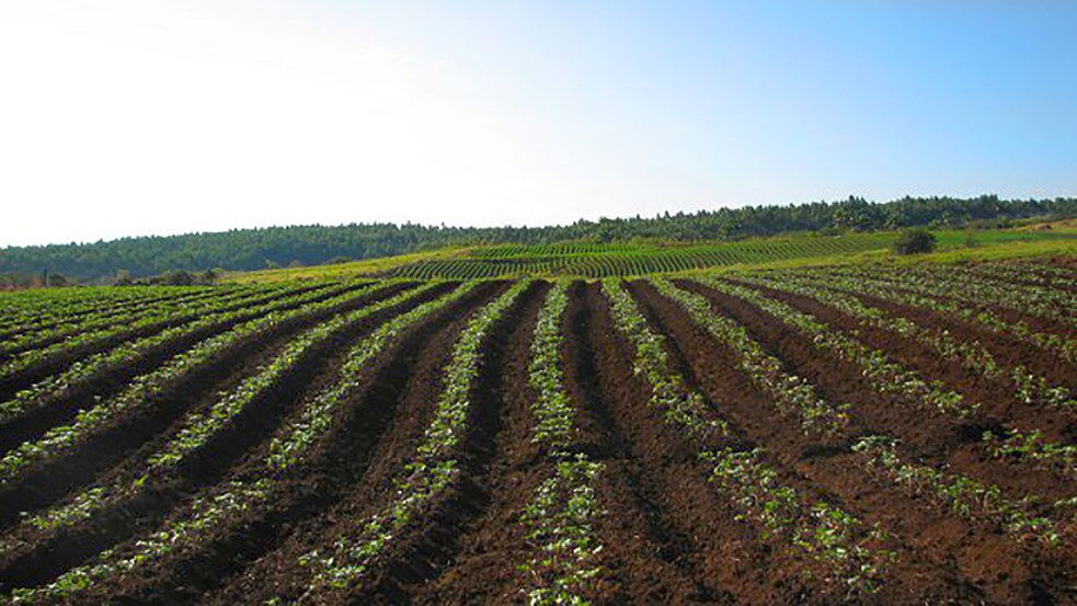 More Photos Of 27-5159 Puia Rd, Papaikou Land For Lease