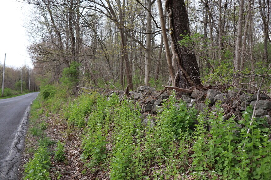 More Photos Of 330 Plutarch Rd, Highland Land For Sale