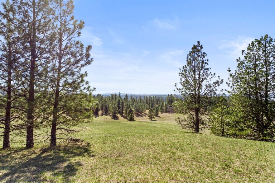 More Photos Of 15809 N Scribner Branch Rd, Spokane Land For Sale