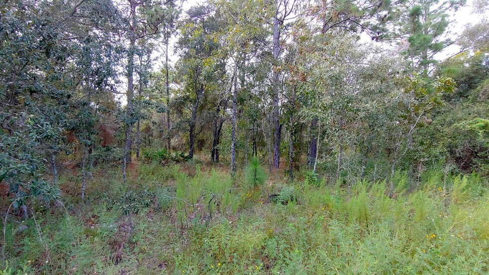 More Photos Of County Line Rd, Spring Hill Land For Sale