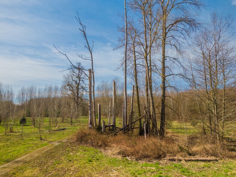 More Photos Of 2323 Lindgren Rd, Mount Vernon Land For Sale
