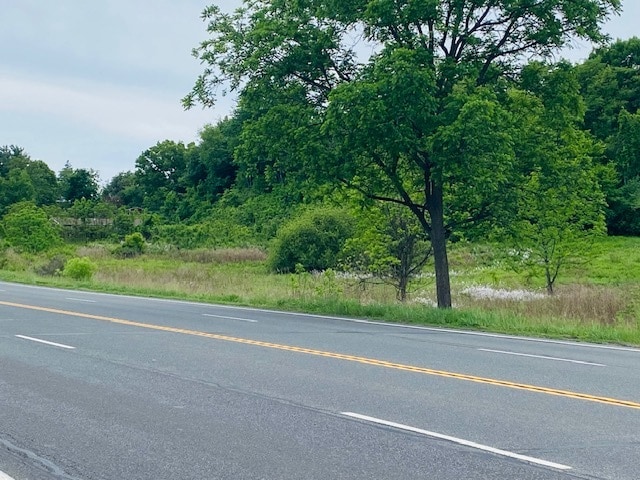Primary Photo Of 00 Rt 9W, Milton Land For Sale