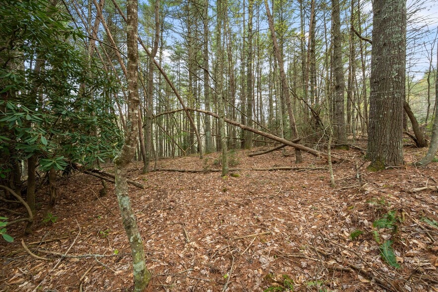 More Photos Of TBD Cole Mountain Road, Hiwassee Land For Sale