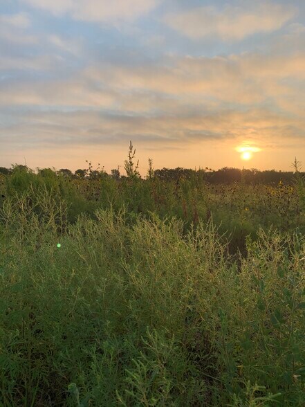 Primary Photo Of CR4110 CR 4110, Blooming Grove Land For Sale