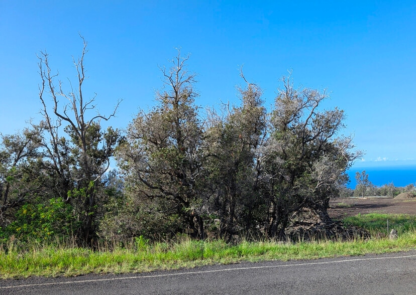 More Photos Of 92-8635 Lehua Ln, Naalehu Land For Sale