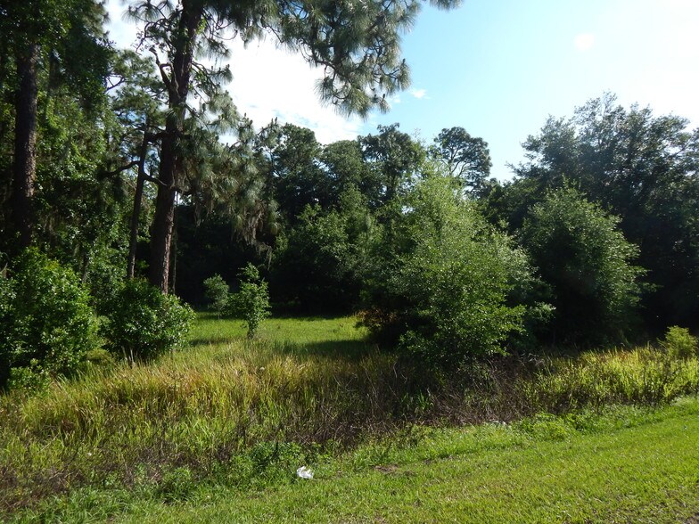 More Photos Of 30607 State Road 54, Wesley Chapel Land For Sale