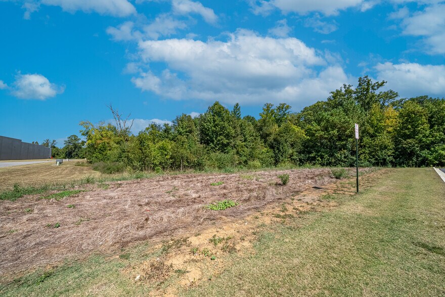 More Photos Of 115-145 Mcs Blvd, Sylacauga General Retail For Lease