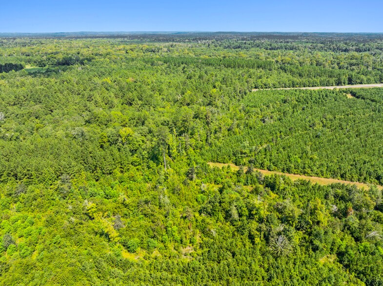 More Photos Of 7471 Highway 155, Saline Land For Sale