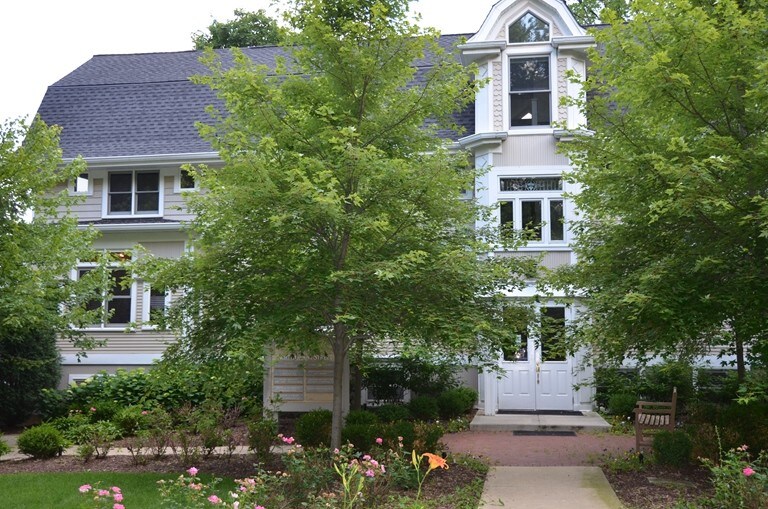 More Photos Of 19 N Grant St, Hinsdale Office For Lease