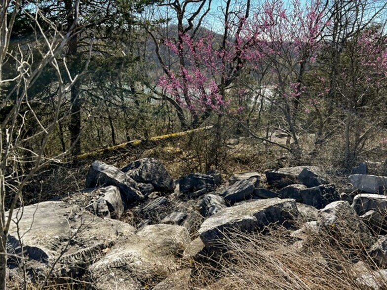 More Photos Of 4103 River Road, Guion Land For Sale