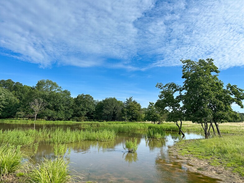 More Photos Of Intersection of FM 2029 and FM 409, Telephone Land For Sale