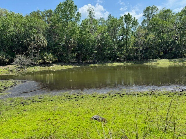 More Photos Of 2992 N Country Road 470, Lake Panasoffkee Land For Sale