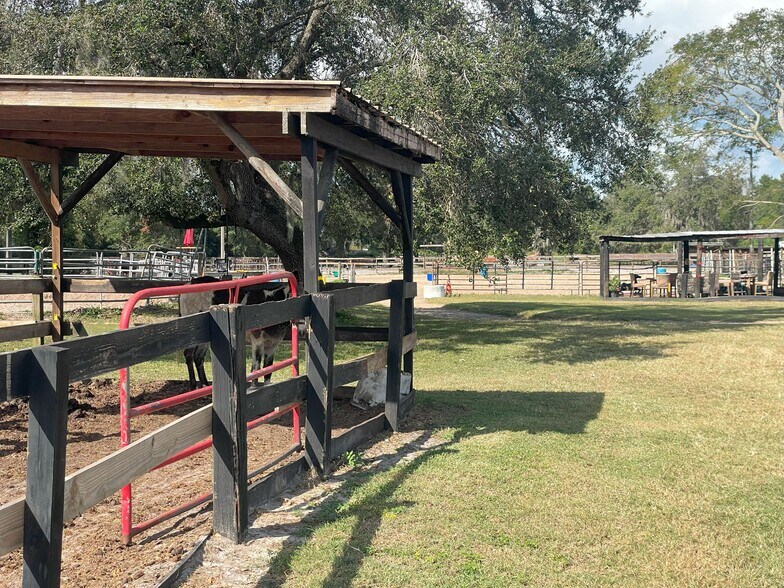 More Photos Of 3903 Ondich Rd, Apopka Land For Sale
