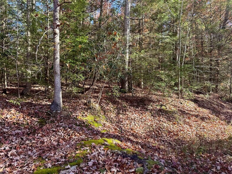 More Photos Of 58 Martin Ln, Nallen Land For Sale