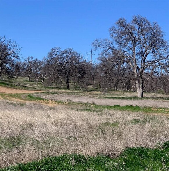 More Photos Of 34 Acres Monroe Ave @ Highway 36W, Red Bluff Land For Sale