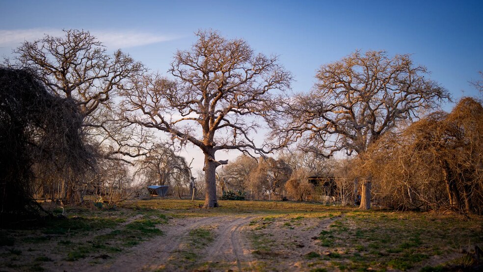 More Photos Of Texas 97, Cost Land For Sale