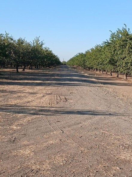 More Photos Of 6679 Boles Road, Arbuckle Land For Sale