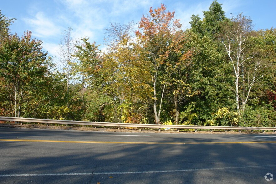 Primary Photo Of 301 Route 6, Farmington Land For Sale