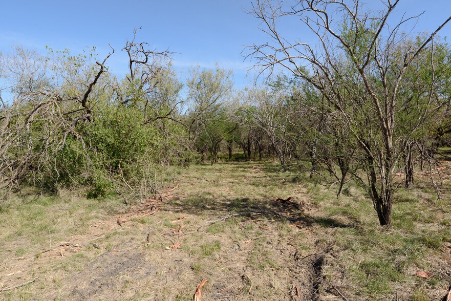 More Photos Of 5885 FM 1516, Converse Land For Sale