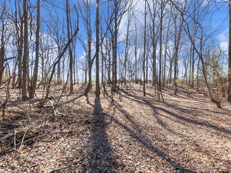 More Photos Of 5555 McEver Rd, Flowery Branch Land For Sale