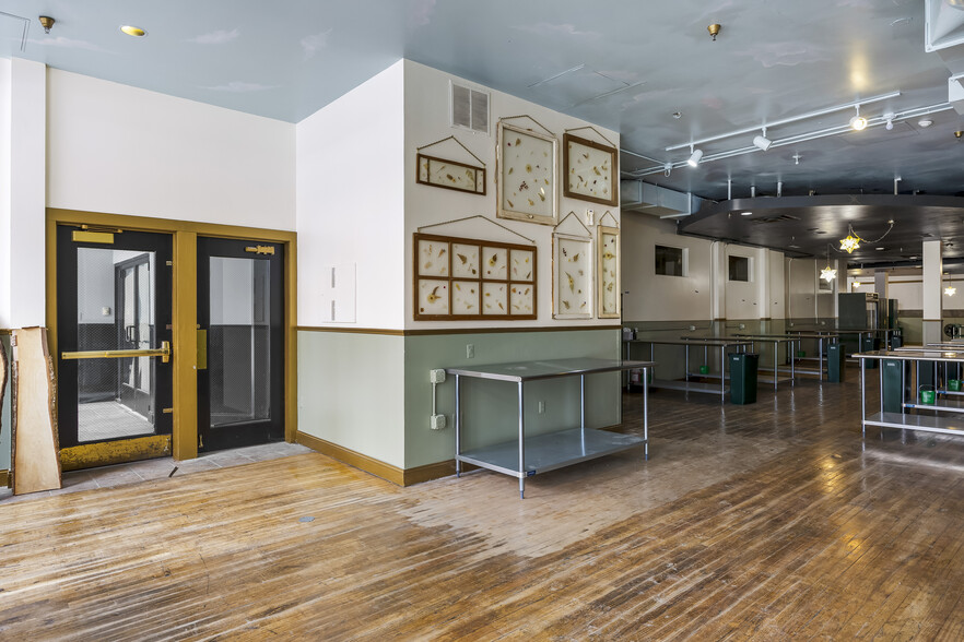 More Photos Of 61 N Pearl St, Albany Apartments For Lease