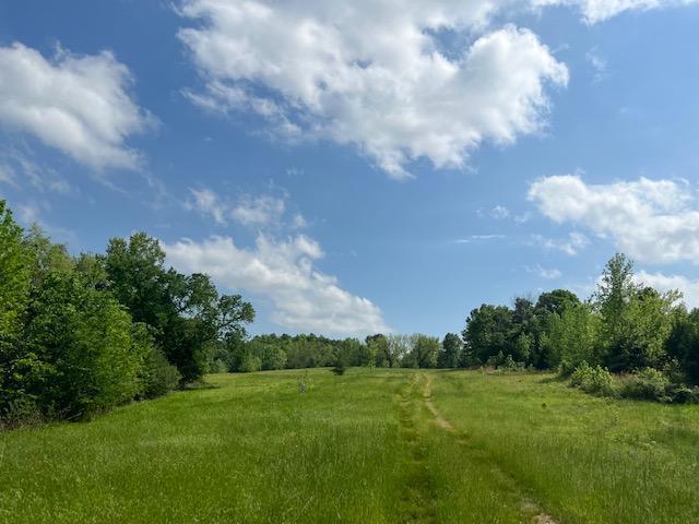 More Photos Of Harrison St / US HWY 69, Batesville Land For Sale