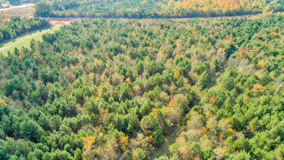 More Photos Of Oak Grove Rd, Summerall, Aiken Land For Lease