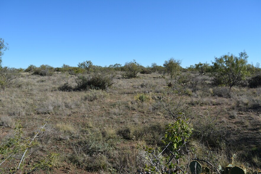 More Photos Of CR 1329, Paint Rock Land For Sale