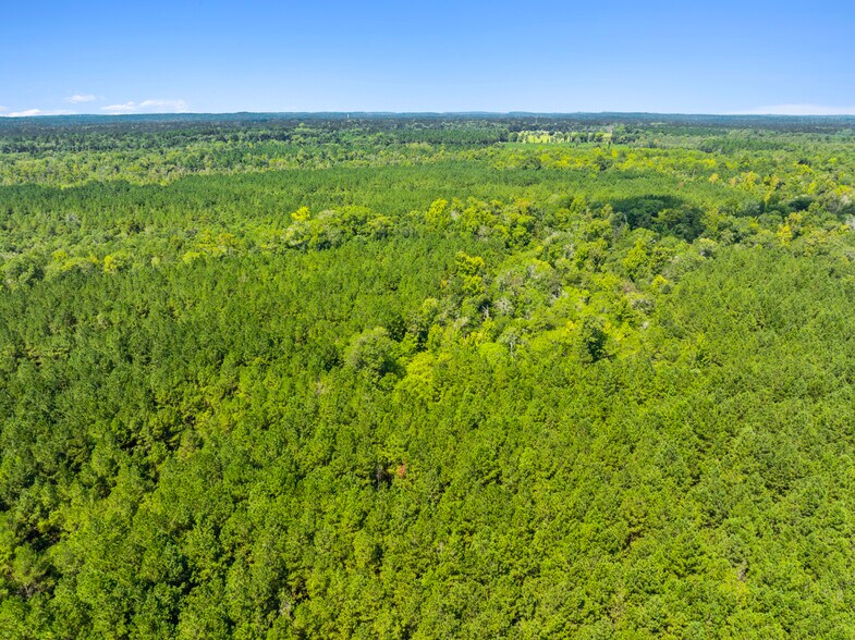 More Photos Of 7471 Highway 155, Saline Land For Sale