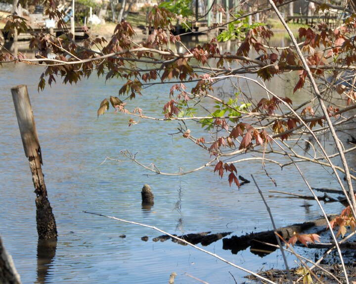 More Photos Of 8850 Goodbys Executive Dr, Jacksonville Medical For Sale