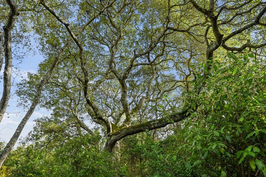 More Photos Of 1605 Lucas Valley Rd, San Rafael Healthcare For Sale