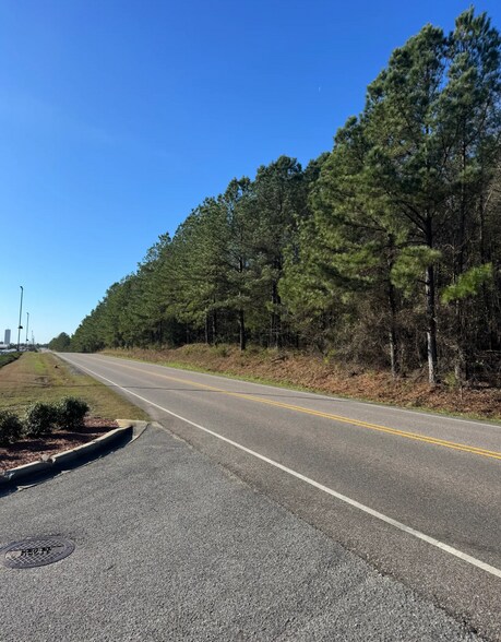 More Photos Of 53 Acres On George Roy Pky, Calera Land For Sale
