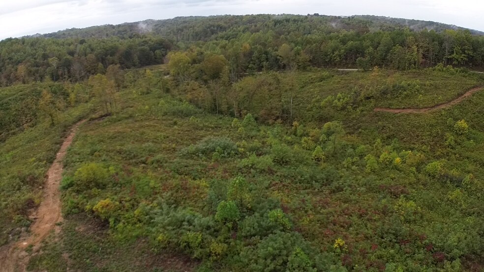 More Photos Of 799 County Road 213, Scottown Land For Sale