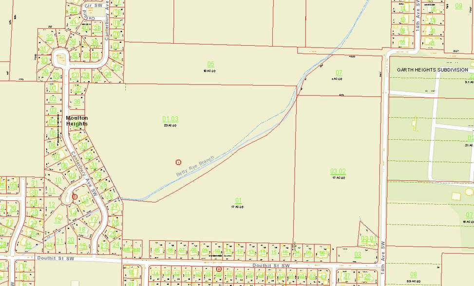 More Photos Of 14th SW ave, Decatur Land For Sale