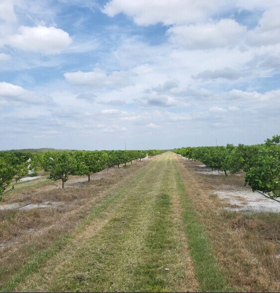 More Photos Of Hwy 31 @ #40, Arcadia Land For Sale