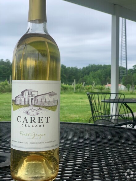 More Photos Of 495 Meadow Landing Ln, Caret Winery Vineyard For Sale
