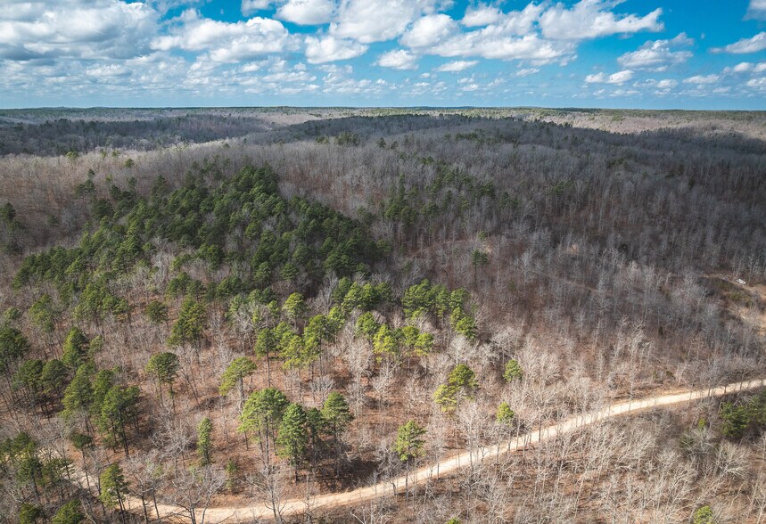 More Photos Of 3385 County Road 5615, Bunker Land For Sale